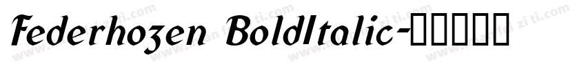 Federhozen BoldItalic字体转换